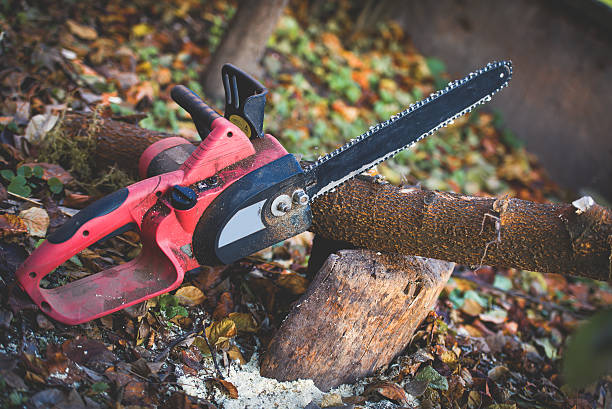 Mulching Services in Rancho San Diego, CA